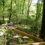 herstwanderung-urach-2