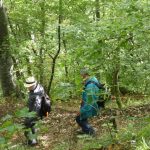 herstwanderung-urach-29