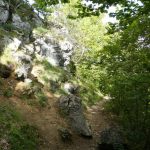 herstwanderung-urach-30