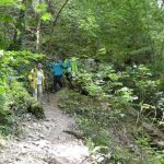 herstwanderung-urach-34
