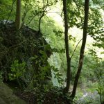 herstwanderung-urach-38