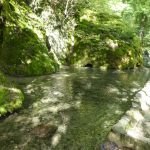 herstwanderung-urach-4
