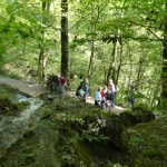 herstwanderung-urach-7
