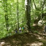 herstwanderung-urach-8